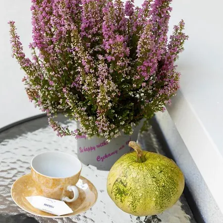 In Centre Of - Katedralna With Balcony By Renters Apartment